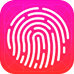 touch-security-icon